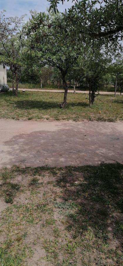 Moholoholo Lodge Acornhoek Εξωτερικό φωτογραφία