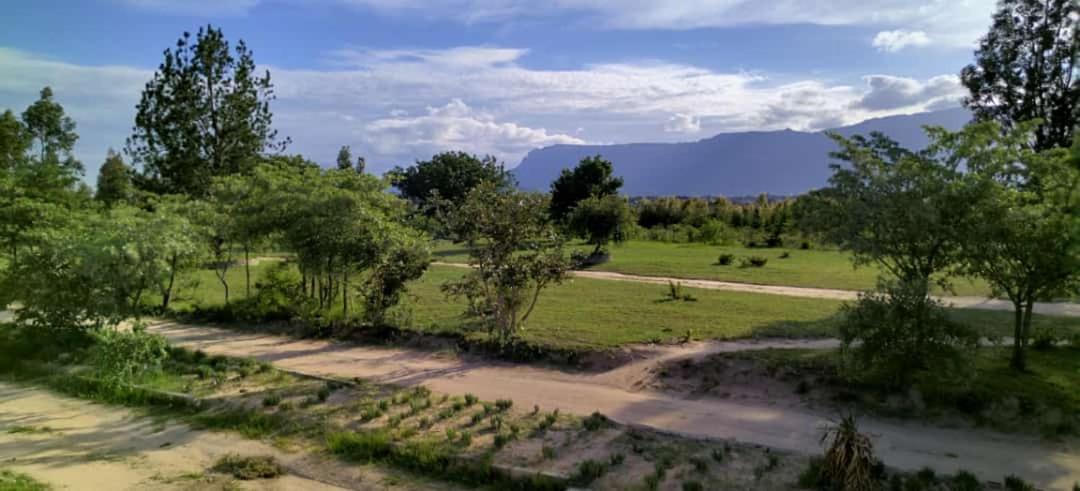 Moholoholo Lodge Acornhoek Εξωτερικό φωτογραφία