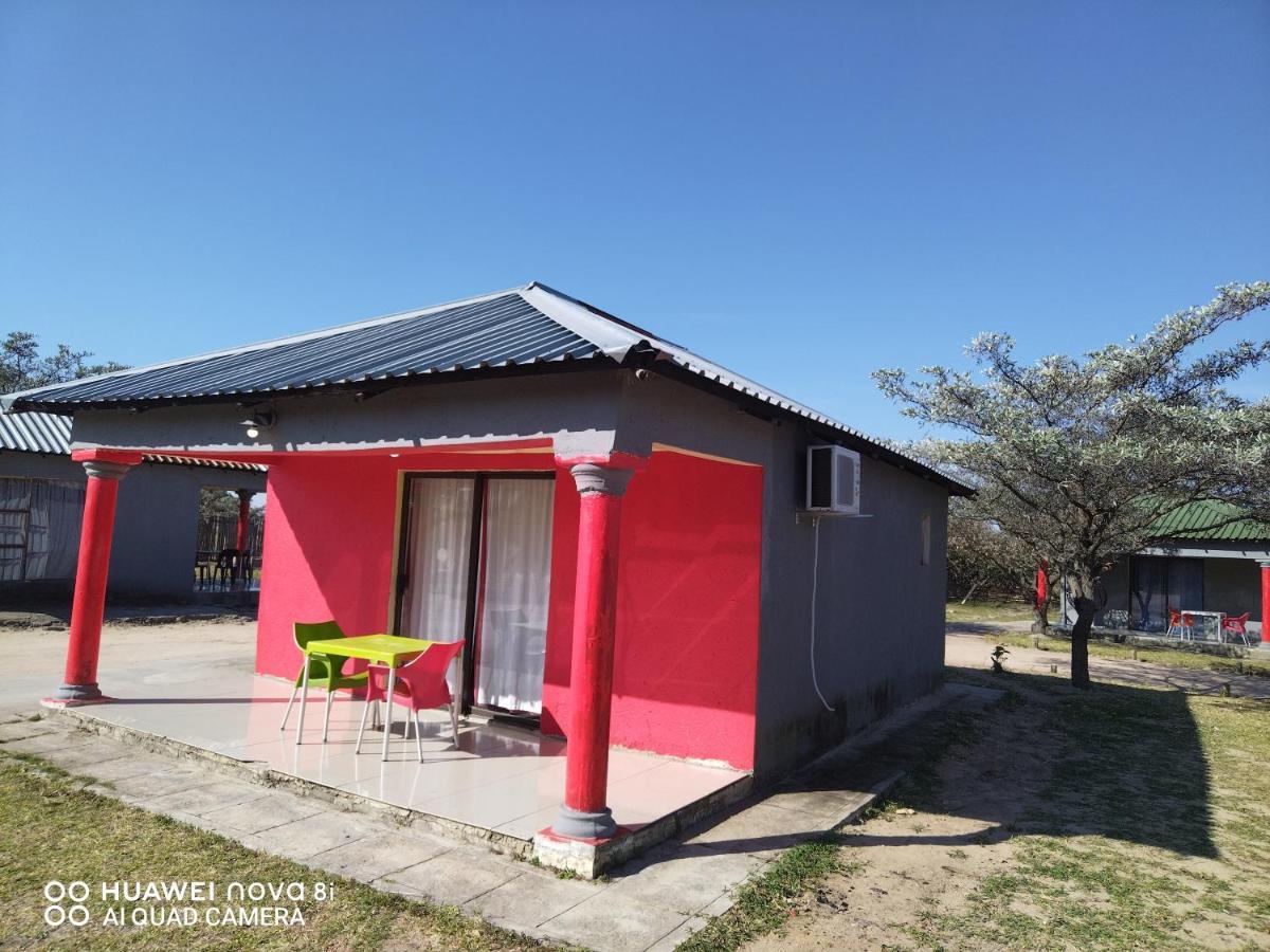 Moholoholo Lodge Acornhoek Εξωτερικό φωτογραφία